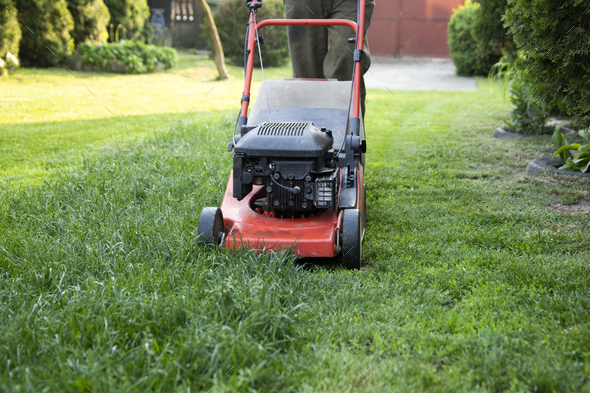 Lawn mover on green grass. Machine for cutting lawns. - Stock Photo - Images