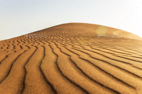 A Dune Landscape In The Rub Al Khali Or Empty Quarter At Golden Sunset   13  Dubai 