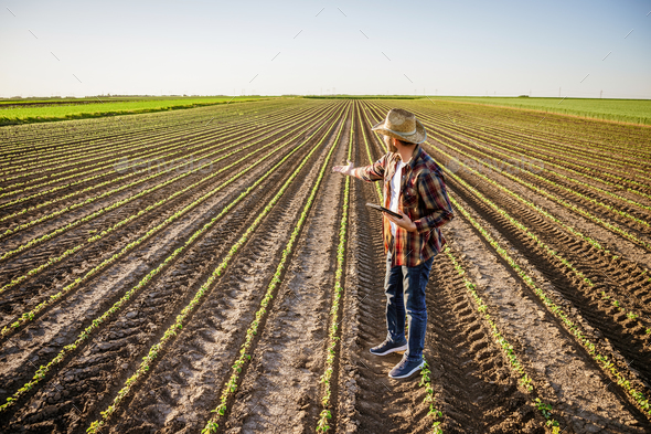 Agriculture - Stock Photo - Images