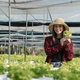 Happy of organic greenhouse female farmer vegetable green hydroponic farm harvesting - PhotoDune Item for Sale