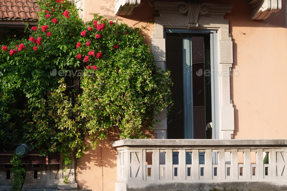 Plants and roses on balconies along via Piero della Francesca at Milan - Stock Photo - Images