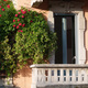 Plants and roses on balconies along via Piero della Francesca at Milan - PhotoDune Item for Sale