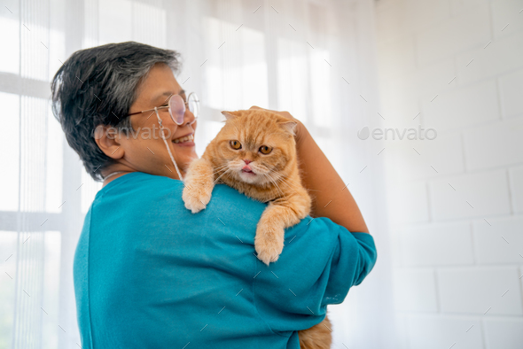 Asian senior woman hold on shoulder and pat orange cat also stand in front of glass window