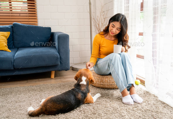 Young Asian girl sit on seat cushion also hold cup of tea and enjoy to play with beagle dog
