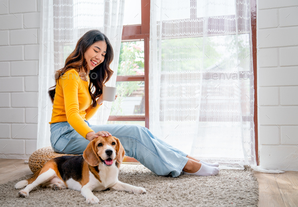 Young Asian girl sit on seat cushion also hold cup of tea and enjoy to play with beagle dog in front