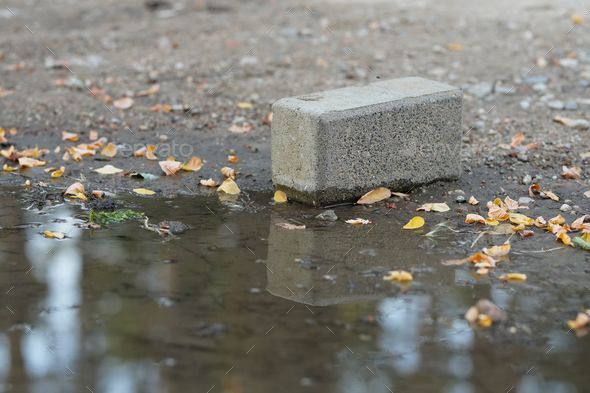 Close-up shot of a concrete block by a dirty puddle
