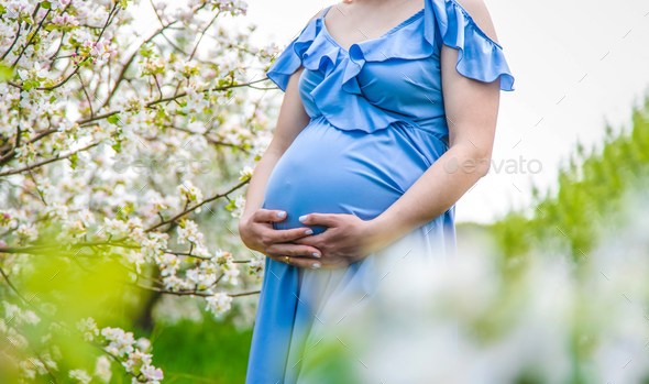 Pregnant woman in the garden of flowering apple trees. Selective focus. - Stock Photo - Images