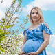 Pregnant woman in the garden of flowering apple trees. Selective focus. - PhotoDune Item for Sale