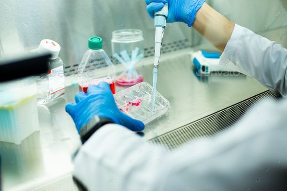 cell culture at the cell culture laboratory - Stock Photo - Images