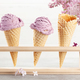 Berry ice cream in waffle cones - PhotoDune Item for Sale