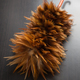 Rooster feather duster - PhotoDune Item for Sale