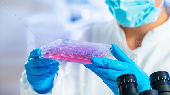 Science and Biotechnology, Laboratory Research, Cell Culture. Cells Biological Culture Concept