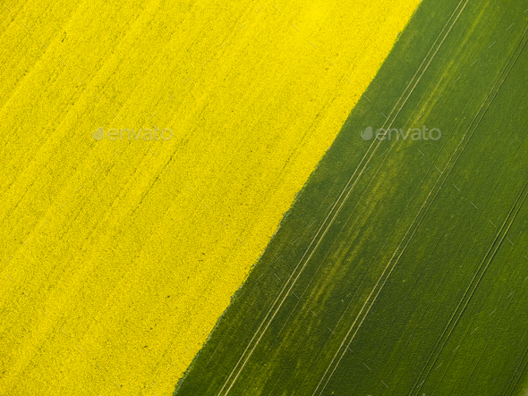 Aerial view of yellow and green fields - Stock Photo - Images