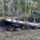 Wooden   bridge over creek in the woods - PhotoDune Item for Sale