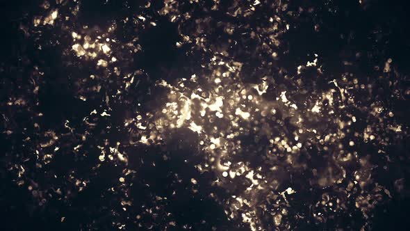 Golden Particles in the Darkness