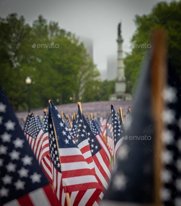 American Flags at a memorial day event for fallen military service personnel