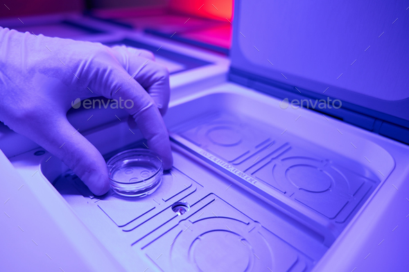 Laboratory worker placing embryos into chamber with heated lid and bottom - Stock Photo - Images