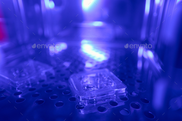Four well polystyrene treated plates with cells lying in special fridge - Stock Photo - Images