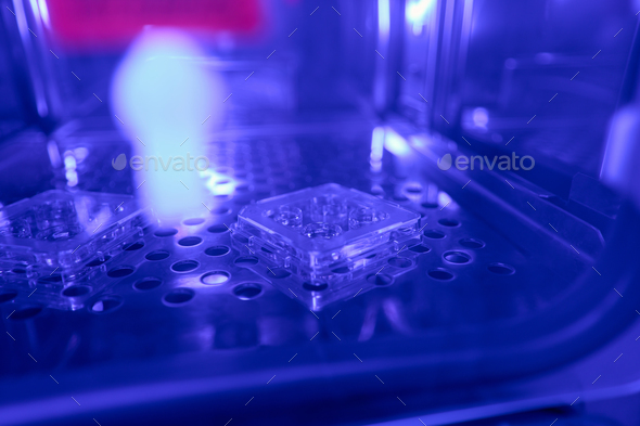 Cell culture dishes with female eggs keeping in temporary fridge - Stock Photo - Images