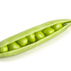 Fresh ripe green pea open pod with seeds isolated on white background - PhotoDune Item for Sale