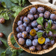 Basket of fresh blue plums on a stone table. View from above. - PhotoDune Item for Sale