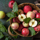 Basket of ripe apples on a stone table. View from above. - PhotoDune Item for Sale