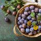 Basket of fresh blue plums on a stone table. View from above. Copy space. - PhotoDune Item for Sale