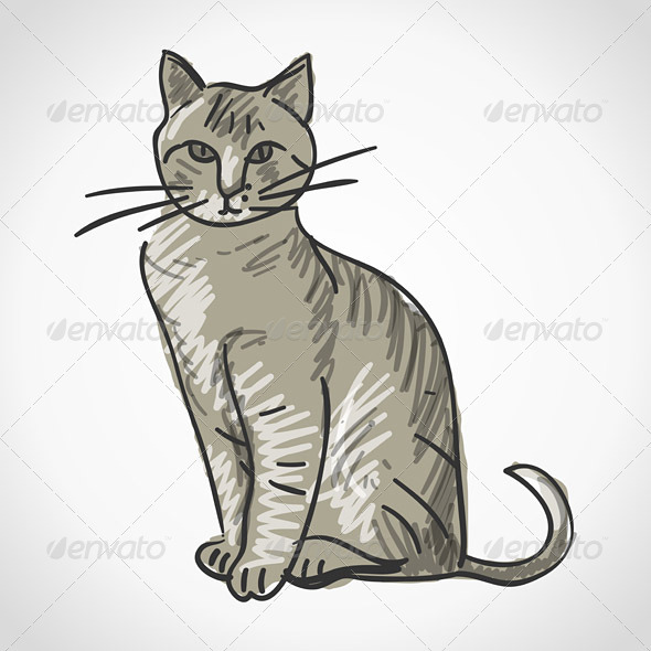 Cat Illustration - Animals Characters
