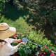 Woman installing solar battery in her balcony garden - PhotoDune Item for Sale