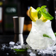 El Bizzcoti alcoholic cocktail drink with mezcal, liqueur, syrup, lemon juice, green basil, spices - PhotoDune Item for Sale