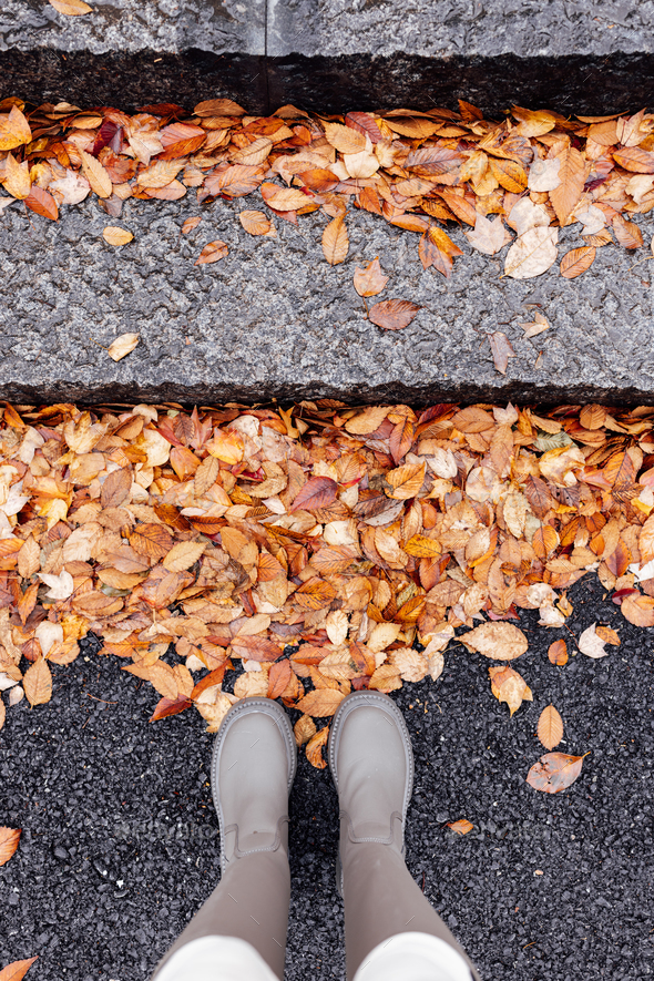 Overhead top view of woman legs standing on road. Fallen leaves yellow orange color lying on asphalt - Stock Photo - Images