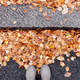 Overhead top view of woman legs standing on road. Fallen leaves yellow orange color lying on asphalt - PhotoDune Item for Sale