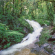 Waterfall in Doi Inthanon National Park - PhotoDune Item for Sale