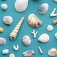 Sea shells pattern. Summery seashells background. - PhotoDune Item for Sale