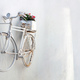 Mallow in pot at white rusty bike on white empty wall background. Greece Cyclades island. Copy space - PhotoDune Item for Sale