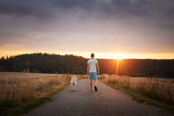 Man walking with dog together on rural road at sunset - Stock Photo - Images