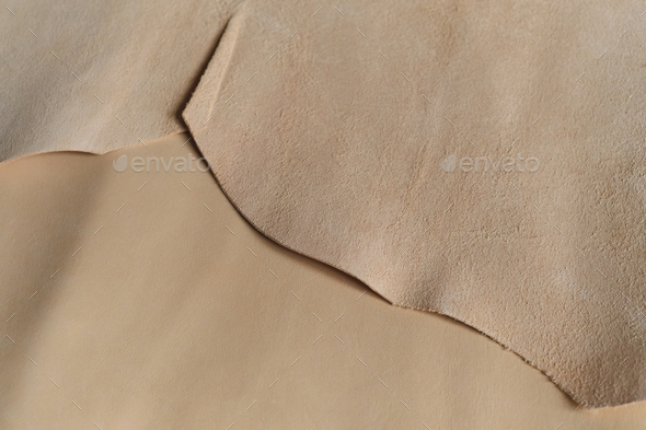 Exhibit of ethically-produced beige leather swatches, symbolizing the growing movement towards