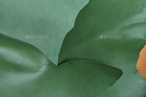 Assortment of exquisite green leather swatches in diverse tones, capturing the innate grace and