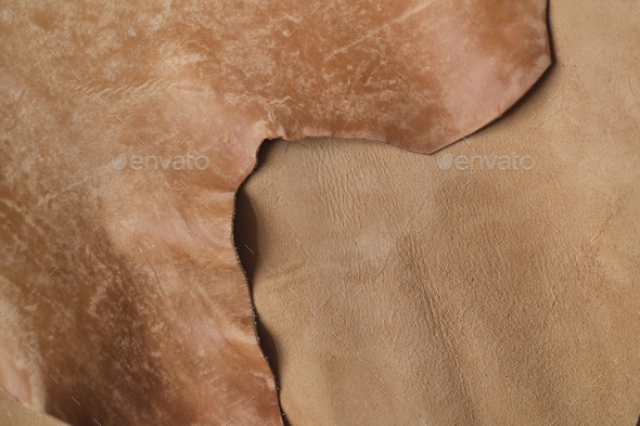 Exhibition featuring a range of beige leather swatches crafted with sustainable practices