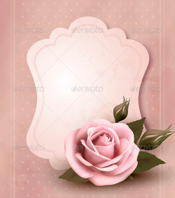 Retro greeting card with pink rose - Flowers & Plants Nature