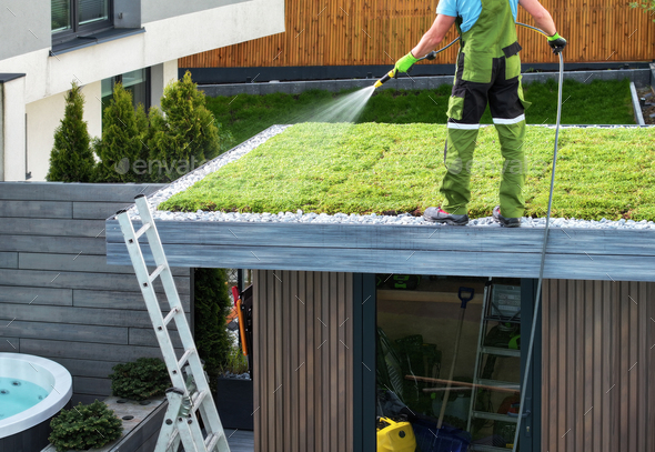 Landscaper Watering Green Roof Sedum Plants Newly Installed on a Roof - Stock Photo - Images