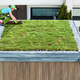 Professional Landscaper Finishing Sedum Green Roof Installation - PhotoDune Item for Sale