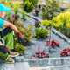 Professional Landscaping Worker Inside Newly Designed Backyard Garden - PhotoDune Item for Sale