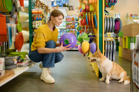 Young woman buying new toy for her corgi dog at pet shop - Stock Photo - Images
