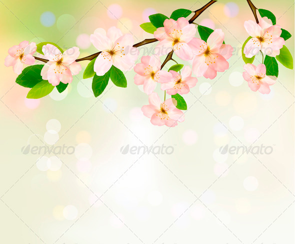 Spring background with blossoming tree brunch - Flowers & Plants Nature