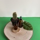 Essential oil bottles on wooden podium with a cactus  - PhotoDune Item for Sale