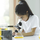 Little child with learning class in school laboratory using microscope - PhotoDune Item for Sale