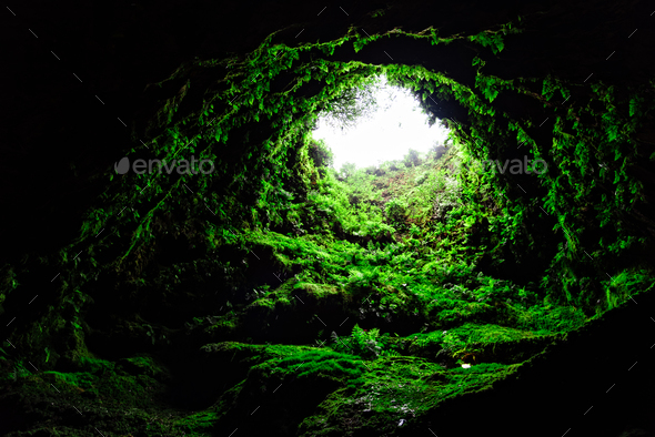Algar do Carvao, an ancient lava tube in Terceira Island - Stock Photo - Images