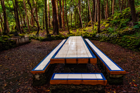 Benches and picnic tables Recreation area in the Mata da Serreta Forest Reserve in Terceira Island - Stock Photo - Images