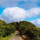 Monte Brasil trail path in Angra do Heroismo - PhotoDune Item for Sale